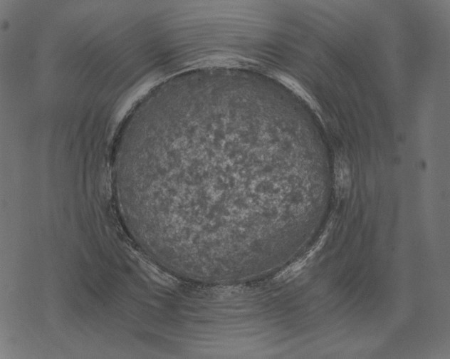 X0000073751067200608171325