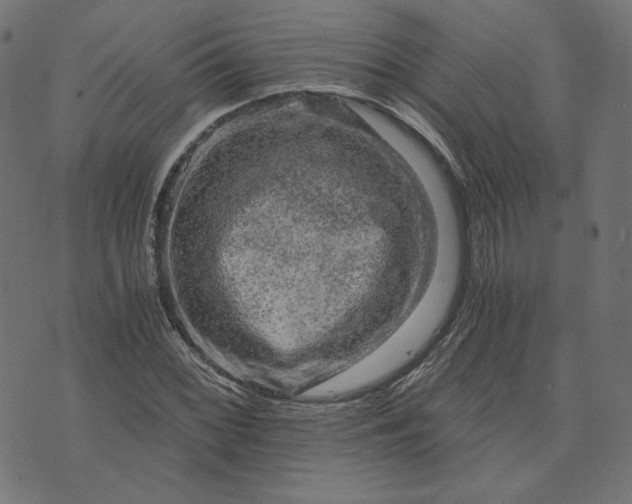 X0000073751068200608171325