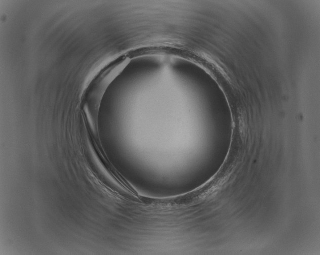 X0000073751069200608171325