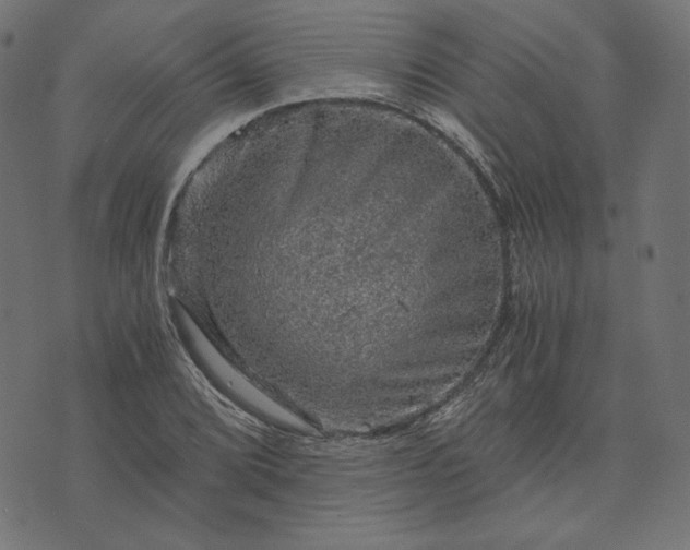 X0000073751072200608171325