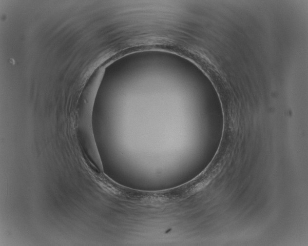 X0000073751073200608171325