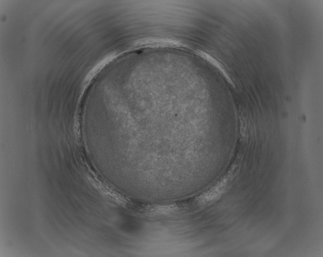 X0000073751074200608171325