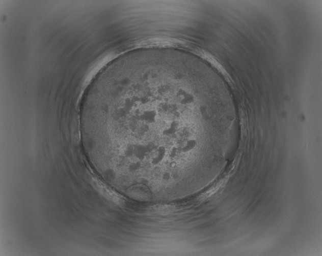 X0000073751075200608171325