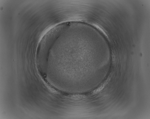 X0000073751077200608171325