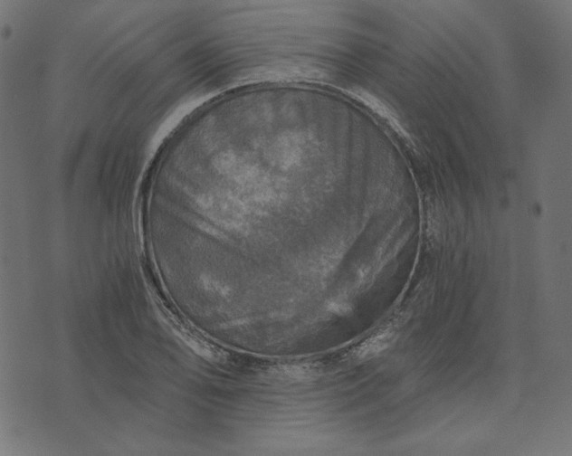 X0000073751078200608171325