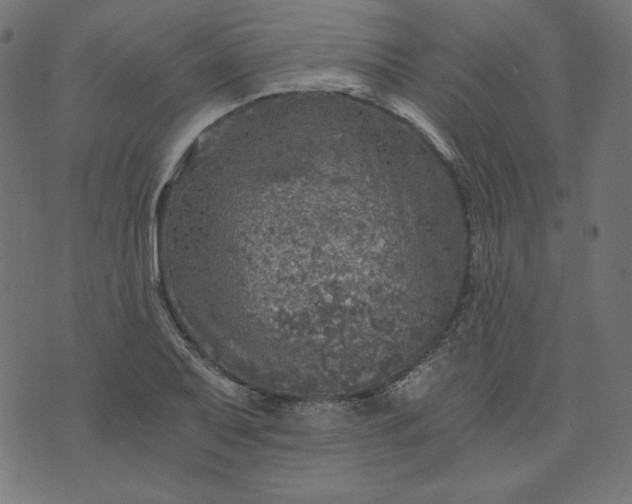 X0000073751079200608171325