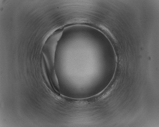 X0000073751081200608171325