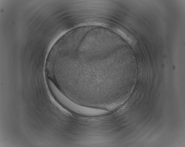 X0000073751084200608171325