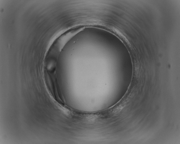 X0000073751085200608171325