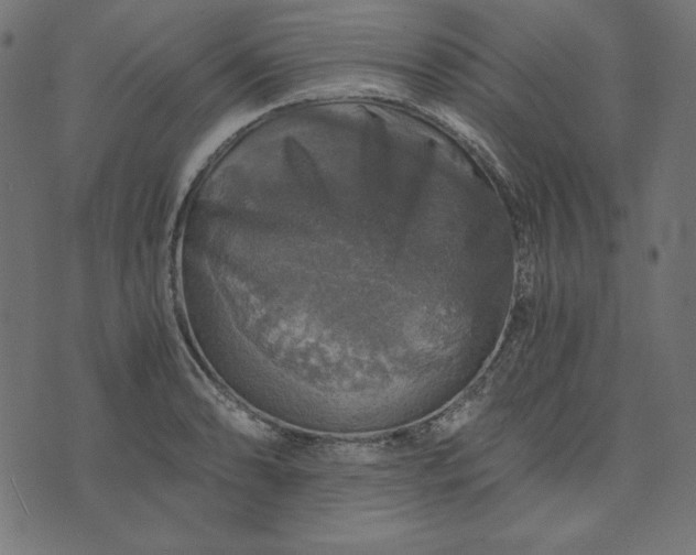 X0000073751086200608171325