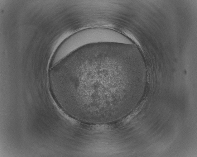 X0000073751087200608171325