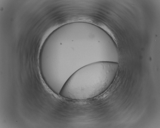 X0000073751088200608171325