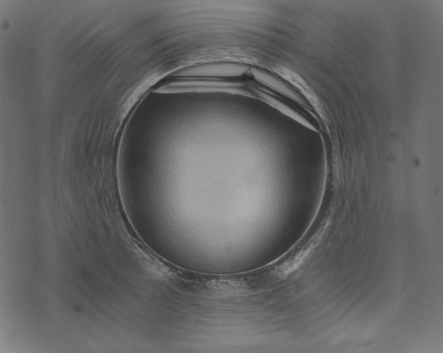 X0000073751089200608171325