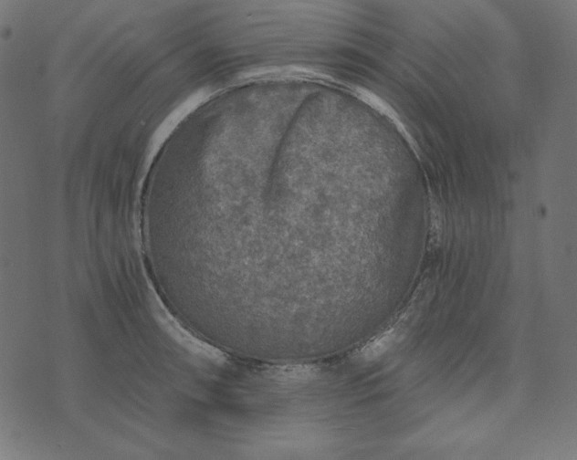 X0000073751090200608171325