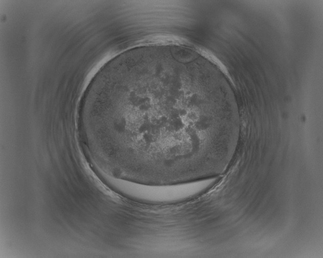 X0000073751091200608171325