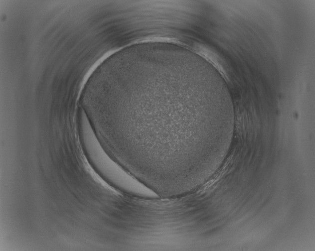 X0000073751092200608171325