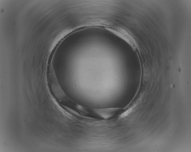 X0000073751093200608171325