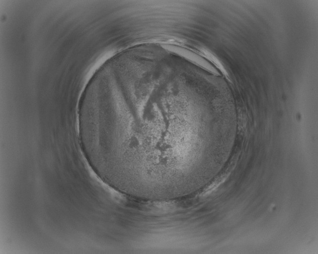 X0000073751095200608171325