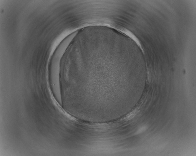 X0000073751096200608171325