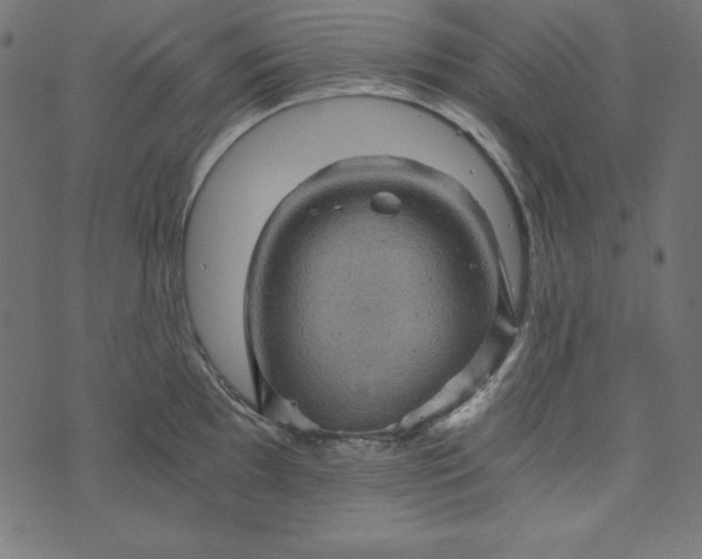 X0000073751097200608171325