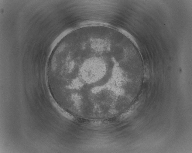 X0000073751098200608171325