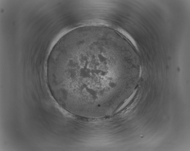 X0000073751099200608171325