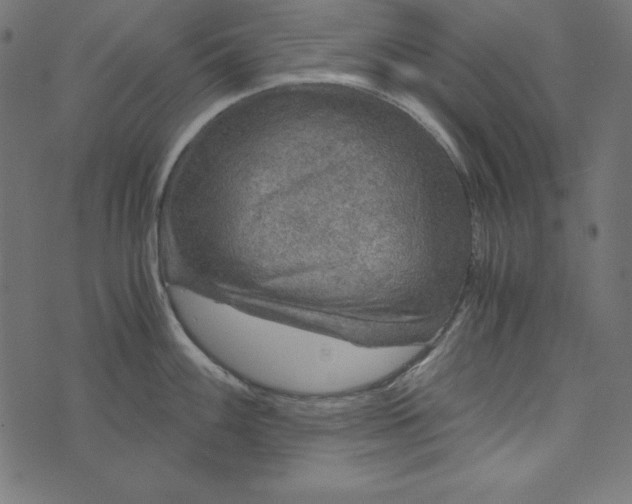 X0000073751100200608171325