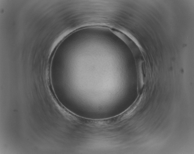 X0000073751101200608171325