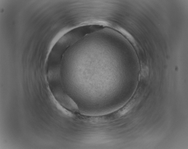 X0000073751102200608171325