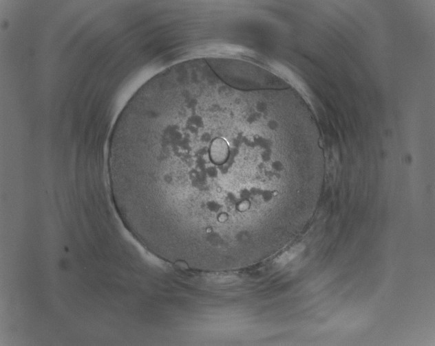 X0000073751103200608171325