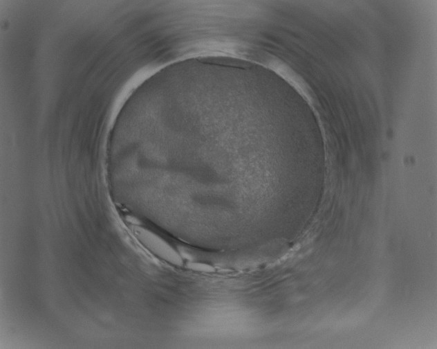 X0000073751104200608171325