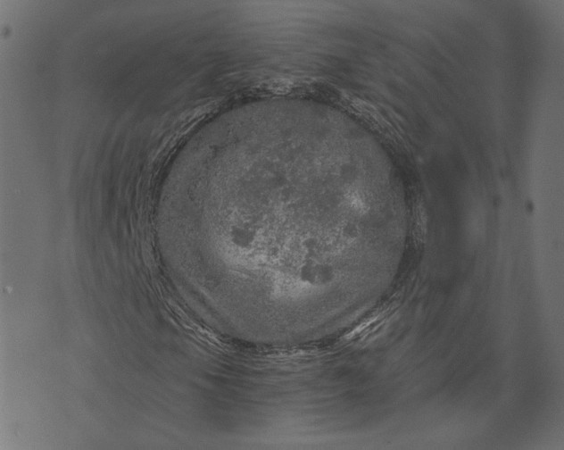 X0000073751105200608171324