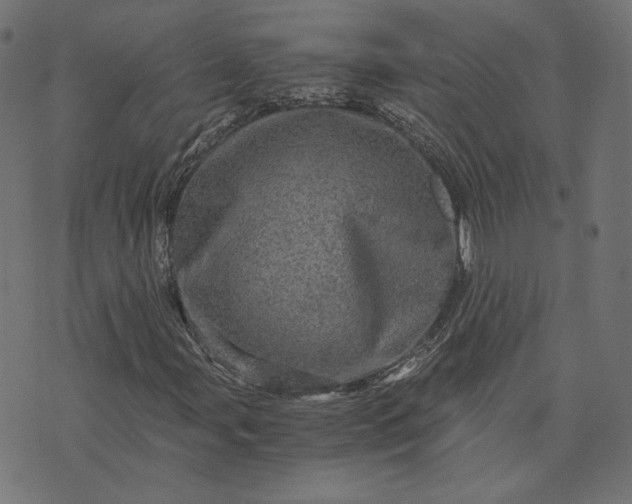 X0000073751107200608171324