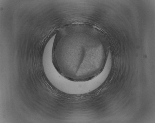 X0000073751108200608171324