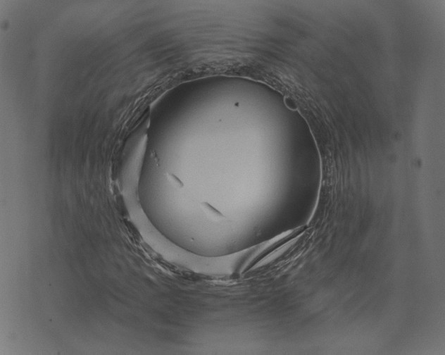 X0000073751109200608171324