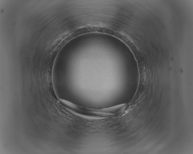 X0000073751110200608171324