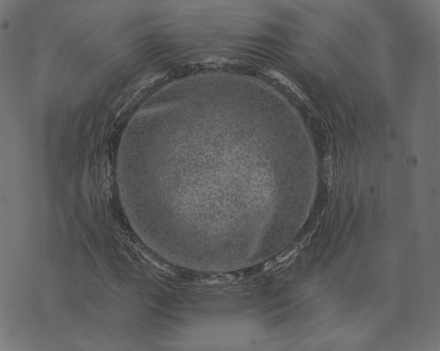 X0000073751111200608171324