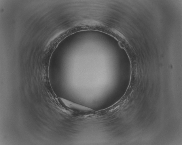 X0000073751112200608171324