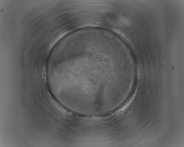 X0000073751113200608171324