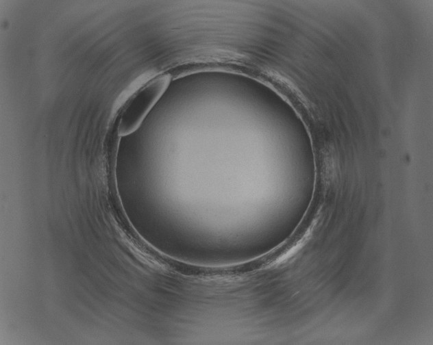 X0000073751114200608171324