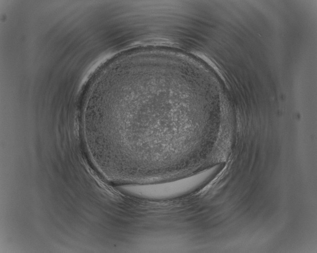 X0000073751115200608171324