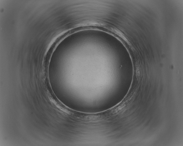 X0000073751116200608171324