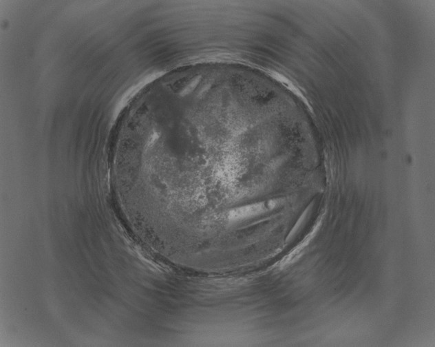 X0000073751117200608171324