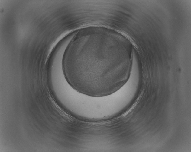 X0000073751118200608171324