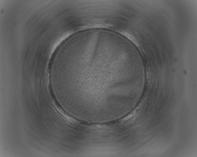 X0000073751119200608171324