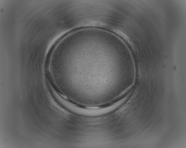 X0000073751120200608171324