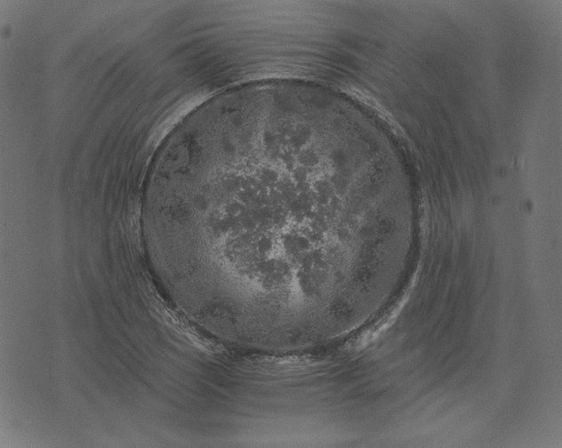 X0000073751121200608171324