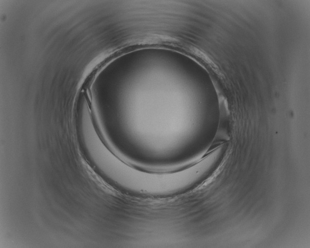 X0000073751122200608171324