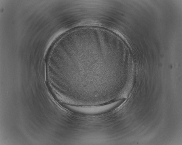 X0000073751123200608171324