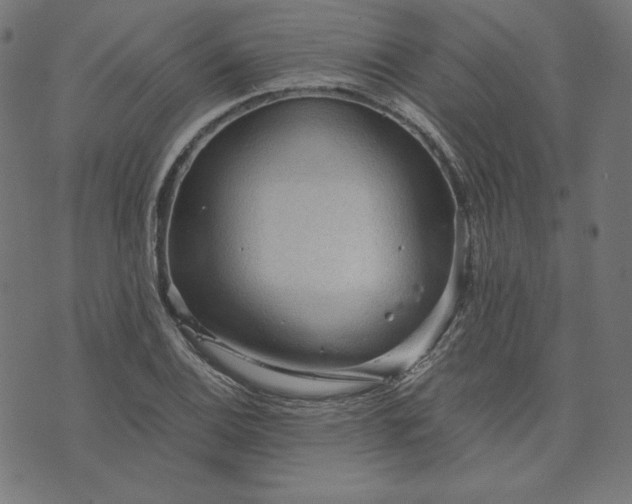 X0000073751124200608171324